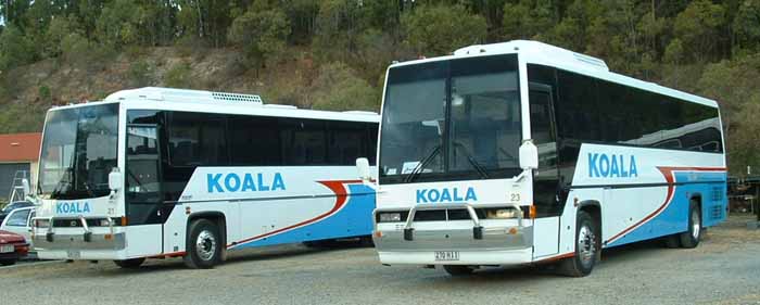 Koala Koaches Austral Allstar AD Starliner 23